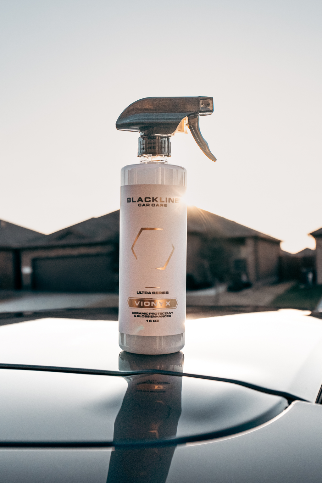 BLACKLINE VIONYX CERAMIC PROTECTANT — additional product view