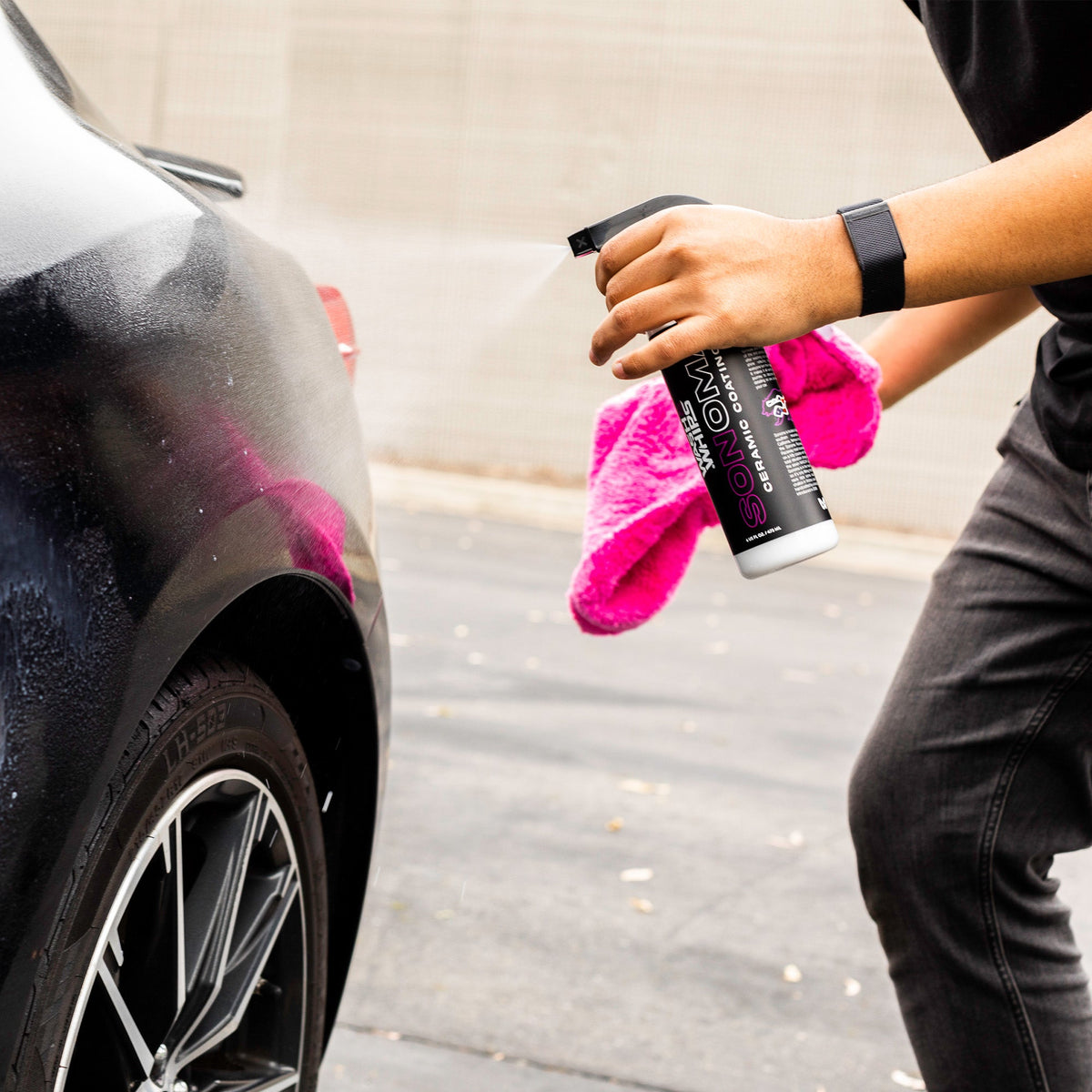 WASH&WHIPS Quick Detailing Pro Kit for Auto Detailing - 16-Piece Complete Car Care Set — additional product view